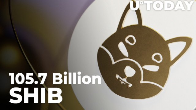 105,7 miljard SHIB gekocht door deze grote Ethereum-walvissen: rapport