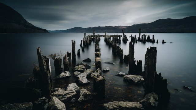 >1.17 miljoen stakers voor Cardano, maar wat moeten ADA-houders nog meer weten?