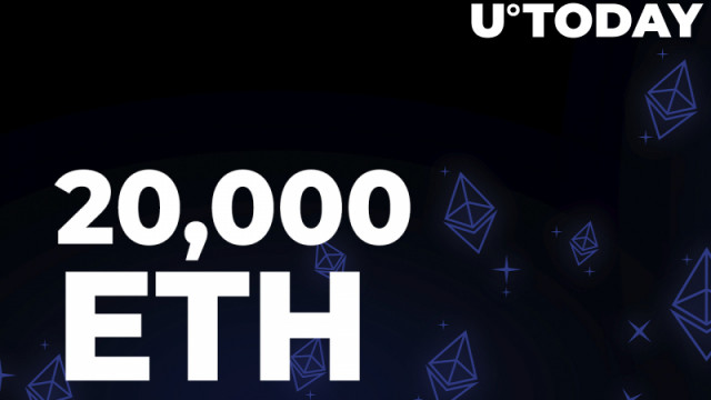 20.000 ETH verplaatst tussen portefeuilles terwijl walvissen blijven kopen: details