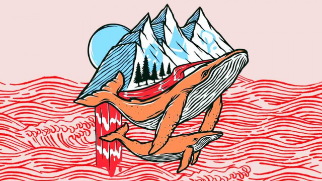 $ 2.800.000.000 Crypto Whale Scoops Up Shiba Inu (SHIB) op Binance Smart Chain terwijl anderen Ethereum (ETH) en Polkadot (DOT) stapelen