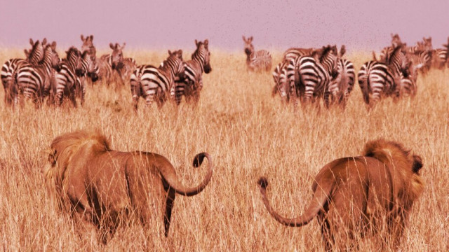 5 grootste 'Ethereum-moordenaars'