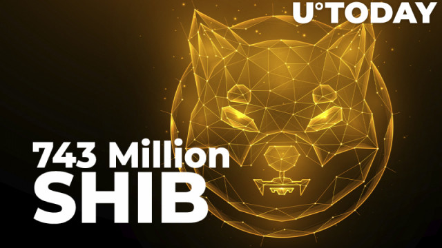 743 miljoen SHIB verbrand in 24 uur, 575 miljoen in 2 dagen: details