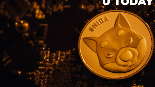 9 miljard SHIB overgenomen door walvissen terwijl prijs stijgt