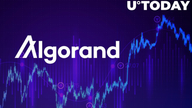 Algorand Funds Zie recordbrekende wekelijkse instroom
