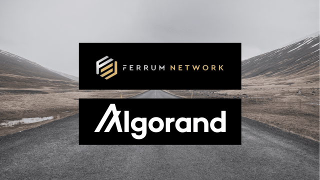 Algorand Prijsvoorspelling: ALGO stijgt in een bloedbad