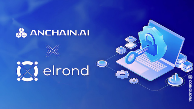 Anchain.AI implementeert Web3-analyse op Elrond om fraudepogingen te voorkomen