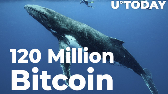 Anonieme walvis sluit plotseling 120 miljoen Bitcoin short op de markt