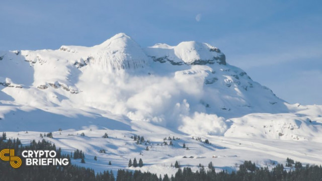 Avalanche Foundation kondigt $ 290 miljoen aan voor "Multiverse" -programma