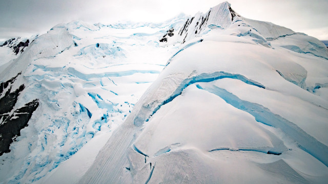AvalancheFomo: Opbrengstteelt met het AVAX-netwerk