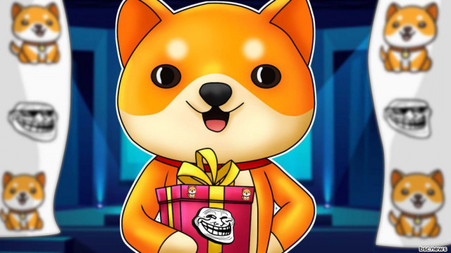 Baby Doge betreedt Metaverse na zijn rivaliserende Shiba Inu