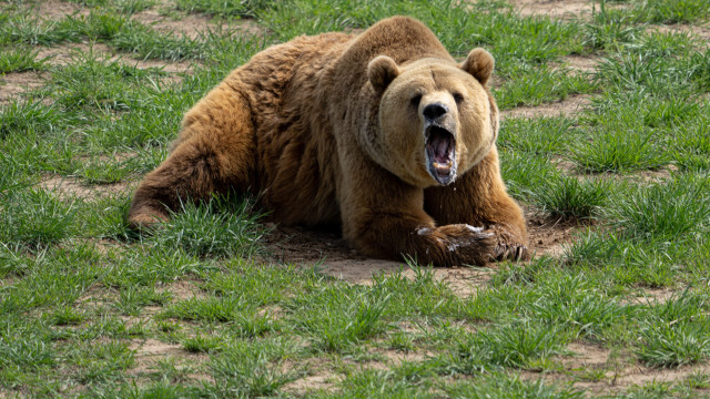 Bitcoin bearish signaal: Binance observeert enorme instroom van 10k BTC