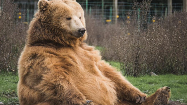 Bitcoin nadert $40K, Ethereum onder $3K, Altcoins in rood