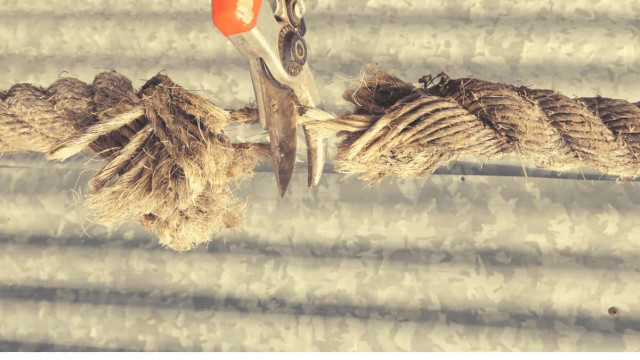 Bitcoin-prijs ontkoppelt van Wall Street te midden van oorlog tussen Rusland en Oekraïne