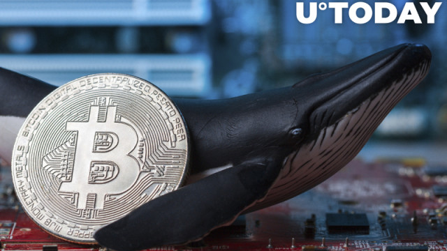 Bitcoin-walvissen in onzekerheid omdat BTC niet boven $ 40.000 blijft