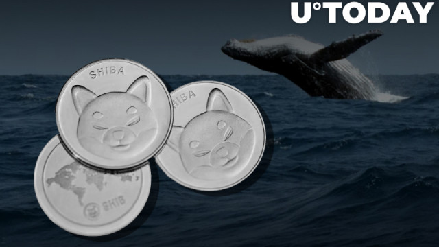 "BlueWhale0073" grijpt nog eens 130 miljard SHIB, terwijl token 2% daalt