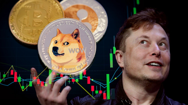 Breaking: Tesla Supercharger Station om Dogecoin (DOGE) als betaling te gebruiken