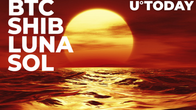 BTC, SHIB, ETH, LUNA, SOL: Top Cryptocurrencies Tumble