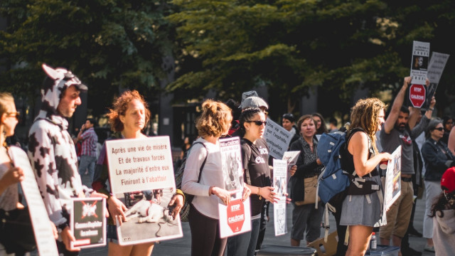 Canada: bijna $ 1 miljoen opgehaald in Bitcoin omdat de overheid donaties aan Freedom Convoy bevriest