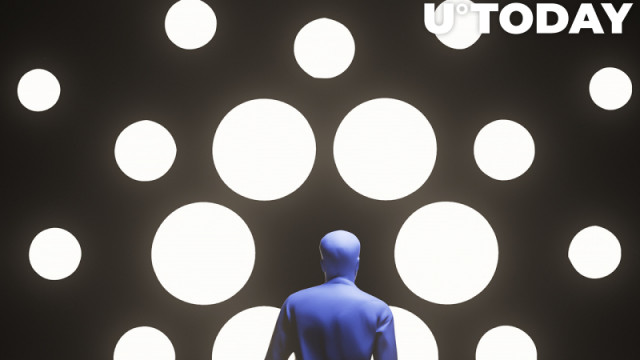 Cardano-accumulatie gaat door terwijl adressen 12,49 miljard ADA bevatten