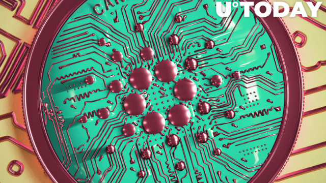 Cardano (ADA) Klaar om het optimisme van Ethereum te overtreffen: gemeenschap