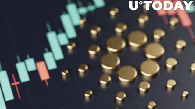 Cardano (ADA) ziet aanzienlijke stijging in transactievolume, signalering terugkeer van walvissen