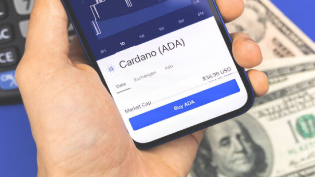 Cardano Elbows Ripple naar 6e positie, dankzij verhoogde ontwikkelingsactiviteit