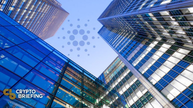 Cardano lijkt klaar voor rebound