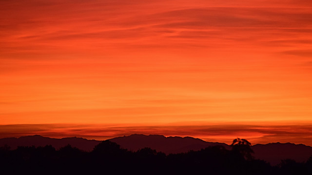 Cardano: Met 8% gestegen, het volledige verhaal achter ADA's nieuwste wandeling is ...
