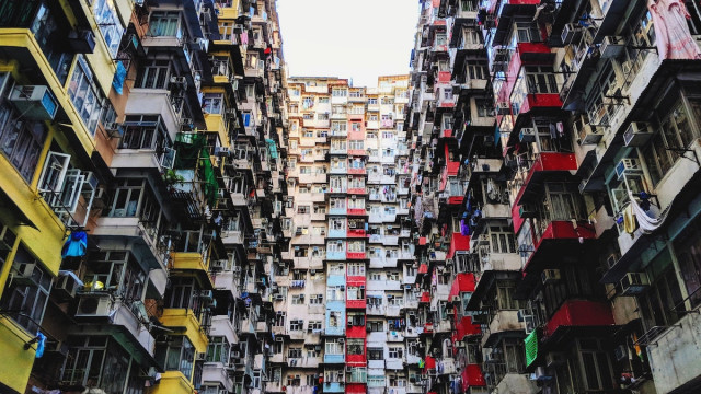 Cardano's eerste DApp heeft minuten na lancering last van grote congestie