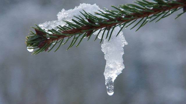 Crypto Winter ontdooit met Bitcoin en Ethereum rebound-signaal