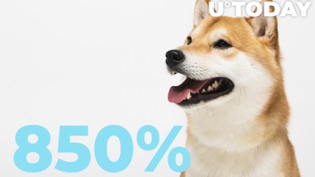 De nettostroom van Shiba Inu stijgt met 850%, koopkracht keert terug naar de markten