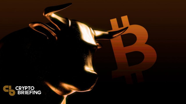 De netwerkactiviteit van Bitcoin stijgt. Wat volgt?