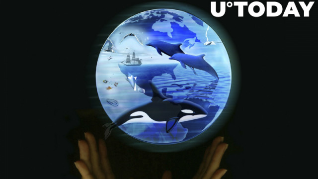 Dit is waarom Bitcoin en Ethereum niet langer worden geaccepteerd door International Animal Rescue