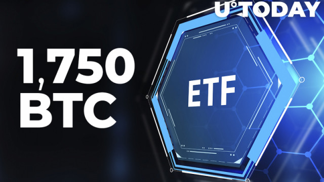 Doel Bitcoin ETF koopt 1.750 BTC binnen 2 dagen op de dip