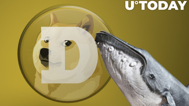 DOGE vervangt Polkadot als 12e grootste cryptovaluta, duikt weer op onder topbezit van walvissen