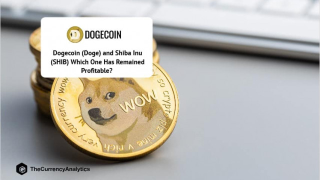 Dogecoin (Doge) en Shiba Inu (SHIB) Welke is winstgevend gebleven?