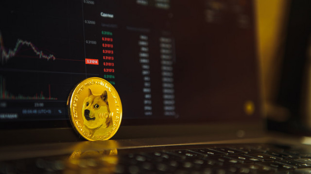 Dogecoin steeg in waarde na Elon Musk-tweet, moet je DOGE kopen?