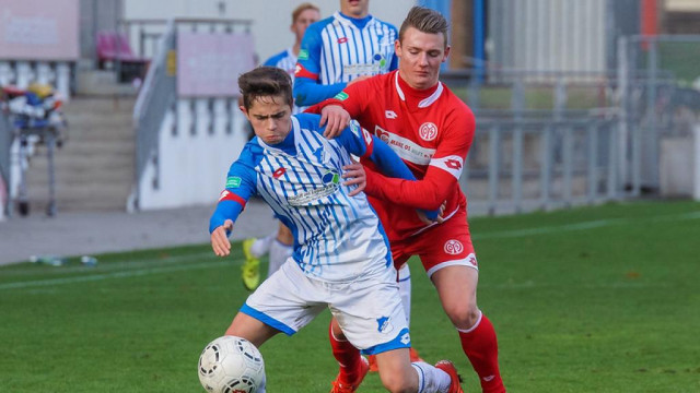 Duitse voetbalclub TSG Hoffenheim werkt samen met Baby Doge om NFT's en meer aan te bieden
