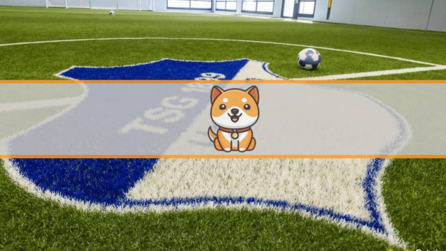 Duitse voetbalclub TSG Hoffenheim werkt samen met Baby Doge