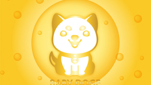 Duitse voetbalclub werkt samen met Baby Doge om de betrokkenheid van fans te vergroten