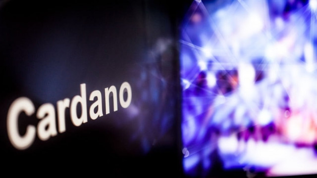 Eerste DApp op Cardano (ADA) kampt minuten na lancering met grote congestieproblemen
