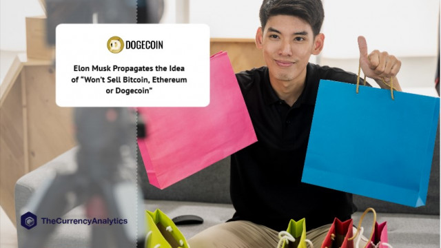 Elon Musk propageert het idee van "zal geen Bitcoin, Ethereum of Dogecoin verkopen"