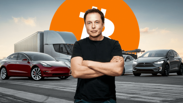 Elon Musk zegt dat hij geen Bitcoin verkoopt te midden van hoge inflatie