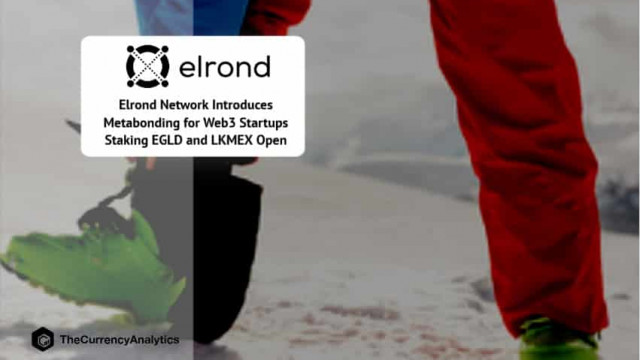 Elrond Network introduceert Metabonding voor Web3-startups Staking EGLD en LKMEX Open