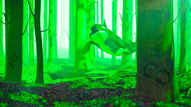 Ethereum-walvissen verzamelen ETH, Polygon (MATIC) en deze metaverse Altcoin in de afgelopen week: WhaleStats