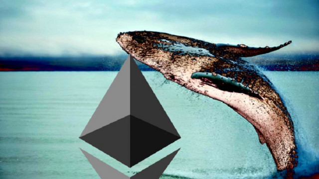 Ethereum-walvissen vulden zich stilletjes met ETH terwijl de bredere markt in paniek raakte
