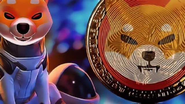 Ethereum Whale haalt $ 6 miljoen aan SHIB op terwijl de accumulatietrend zich voortzet