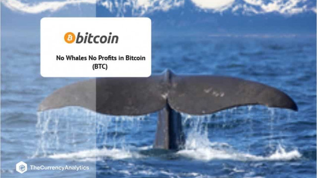 Geen walvissen Geen winst in Bitcoin (BTC)
