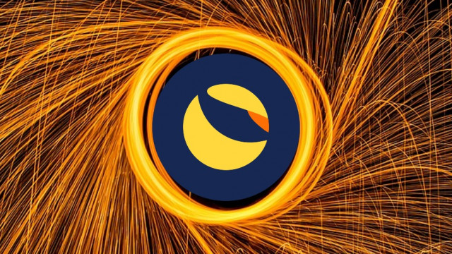 Het geheim achter de enorme toename van het ecosysteem van Terra