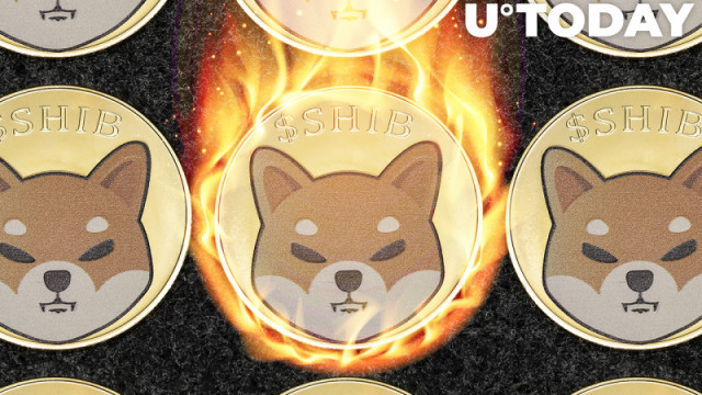 Hier is hoe 1 miljard SHIB-tokens deze week kunnen worden verbrand: Crypto Burner Creator